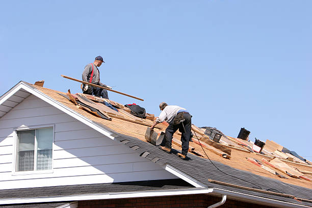 Best Rubber Roofing (EPDM, TPO)  in Shelbyville, KY